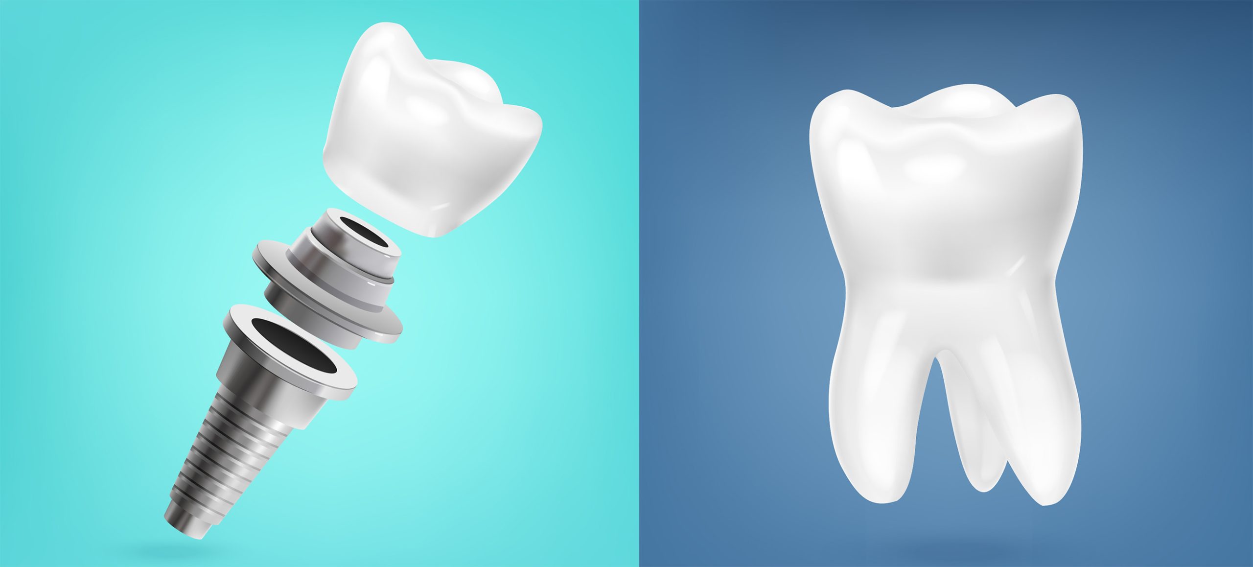 Tooth Anatomy Design Concept